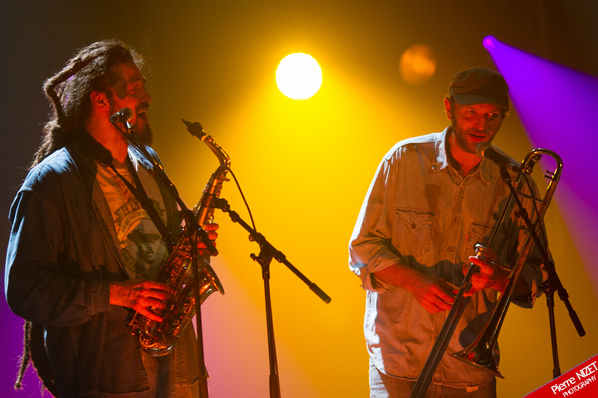 Horn section