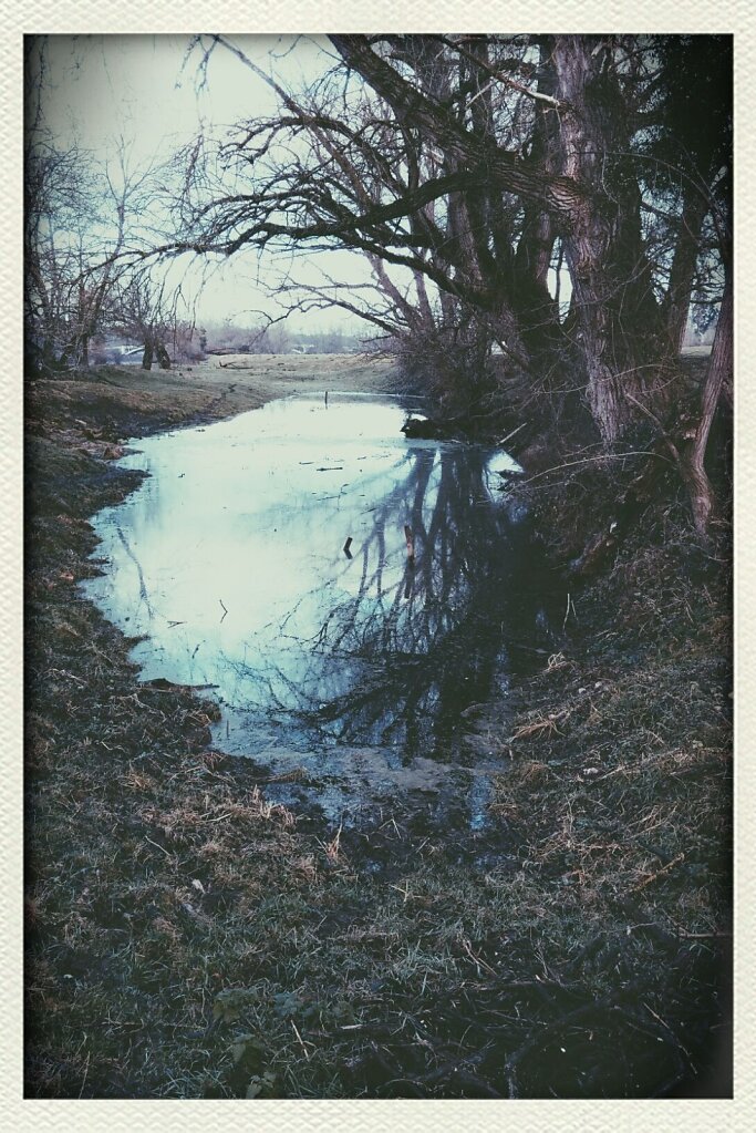 reflets #Reflection #Pond