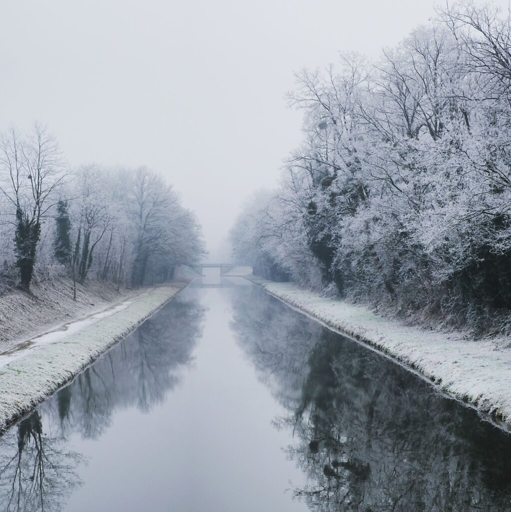 Frost #canal #Winter