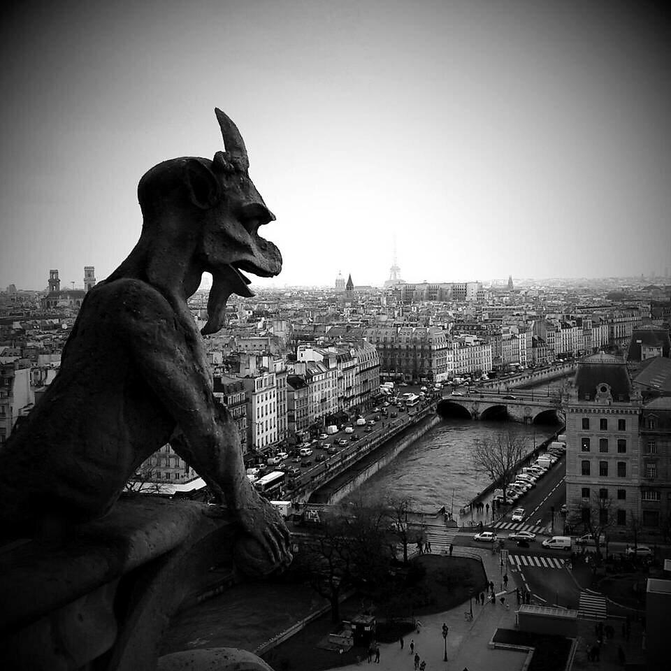 #Notre-Dame #Paris #Gargouille